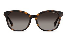 Shop Polaroid Square Sunglasses in Havana online.