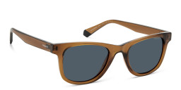 Shop Polaroid Square Sunglasses in Brown online.