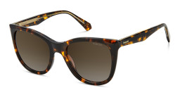 Polaroid Oversized Square Sunglasses in Havana – Product Photo 2