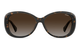 Polaroid Square Sunglasses in Havana – Product Photo 1
