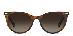 Shop Polaroid Cat-Eye Sunglasses in Havana/Brown online.