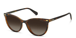 Shop Polaroid Cat-Eye Sunglasses in Havana online.