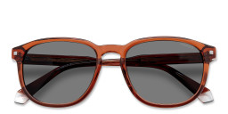 Shop Polaroid Rectangle Sunglasses in Brown online.