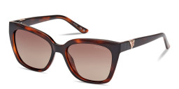 Shop Guess G Emblem Square Sunglasses in Havana online.