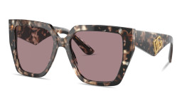 Dolce & Gabbana DG Motif Square Sunglasses in Havana – Product Photo 2