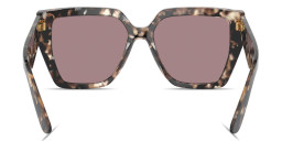 Dolce & Gabbana DG Motif Square Sunglasses in Havana – Product Photo 4