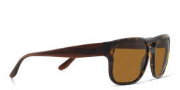 Shop Emporio Armani Logo Pillow Sunglasses in Havana online.