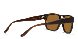 Shop Emporio Armani Logo Pillow Sunglasses in Havana online.