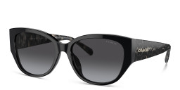 Coach Metal Logo Cat in Black – Product Photo 2