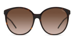 Shop Vogue Eyewear Oversized Round Sunglasses in Havana online.