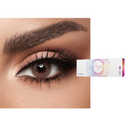 DAYA 1-Day Color Contact Lenses in Ash – Product Photo 1