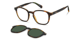 Shop Polaroid Clip-On Unisex Square Eyeglasses in Havana online.