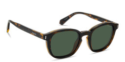 Shop Polaroid Clip-On Unisex Square Eyeglasses in Havana online.