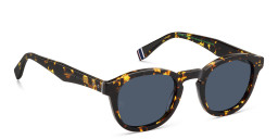 Tommy Hilfiger Round Sunglasses in Havana – Product Photo 3