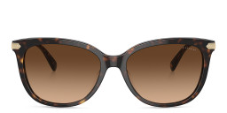 Shop Coach Logo Signature Cat-Eye Sunglasses in Dark Tortoise online.
