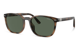 POLO Square Sunglasses in Havana – Product Photo 2