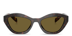 Shop PRADA Butterfly Sunglasses in Tortoise/Dark Brown online.