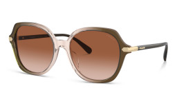 Coach Round Sunglasses in Beige – Product Photo 2