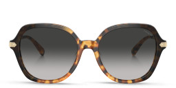Shop Coach Logo-Print Oversized Round Sunglasses in Tortoise online.