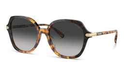 Coach Logo in Tortoise – Product Photo 2