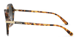 Coach Logo in Tortoise – Product Photo 3