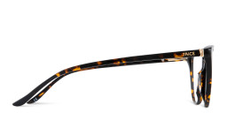 TRICE Logo Cat-Eye Eyeglasses in Havana – Product Photo 4