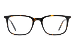 Shop TRICE Logo Unisex Square Eyeglasses in Havana online.
