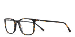 Shop TRICE Logo Unisex Square Eyeglasses in Havana online.