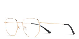 TRICE Logo Unisex Irregular Eyeglasses in Gold – Product Photo 2