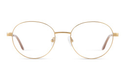 TRICE Logo Round Eyeglasses in Gold – Product Photo 1
