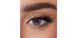 AFLE 1-Day Color Contact Lenses in Agate – Product Photo 1