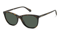 Polaroid Logo Cat-Eye Sunglasses in Havana – Product Photo 2