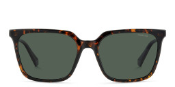 Polaroid Logo Square Sunglasses in Havana – Product Photo 1