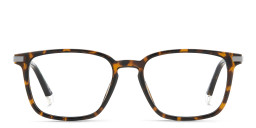 Shop Polaroid Logo Square Eyeglasses in Havana online.