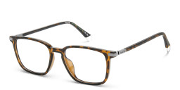 Shop Polaroid Logo Square Eyeglasses in Havana online.
