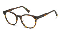 Shop Polaroid Logo Unisex Round Eyeglasses in Havana online.