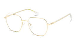 Shop Polaroid Logo Square Eyeglasses in Gold online.