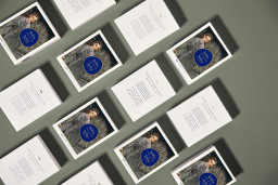 تسوق عدسات لاصقة ملوّنة للإستخدام الشهري - سفانة رمادي مورِق ليلة وليلة بلون سفانة رمادي مورِق أونلاين.