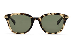 Shop ALL SAINTS Logo Square Sunglasses in Tortoise online.