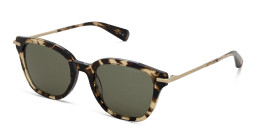 Shop ALL SAINTS Logo Square Sunglasses in Tortoise online.