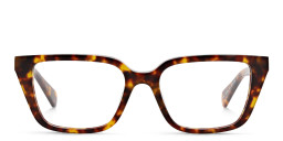 ALL SAINTS Logo Cat-Eye Eyeglasses in Brown – Product Photo 4