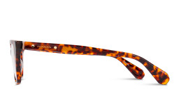 ALL SAINTS Logo Cat-Eye Eyeglasses in Brown – Product Photo 4