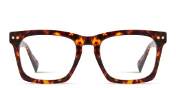 Shop ALL SAINTS Logo Square Eyeglasses in Brown online.