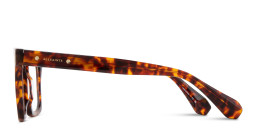 Shop ALL SAINTS Logo Square Eyeglasses in Brown online.