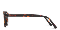 Izipizi Logo Unisex Round Sunglasses in Tortoise – Product Photo 3