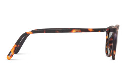 Izipizi Logo Unisex Square Sunglasses in Tortoise – Product Photo 4