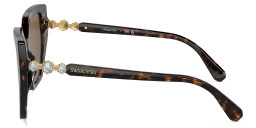 Shop Swarovski Crystal Irregular Sunglasses in Havana online.