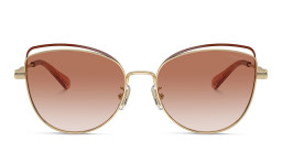 Coach C Motif Cat in Gold – Product Photo 1
