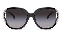 Coach C Motif Oversized Square Sunglasses in Black – Product Photo 1