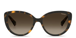 Shop Polaroid Rhinestone-Embellished Cat-Eye Sunglasses in Havana online.